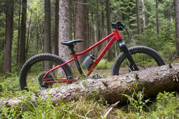 Dětské horské kolo Rascal Wild 20 červené